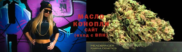 индика Вяземский