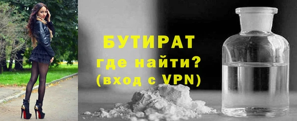 индика Вяземский