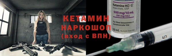 индика Вяземский