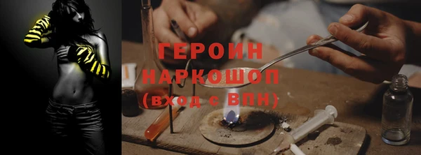 индика Вяземский