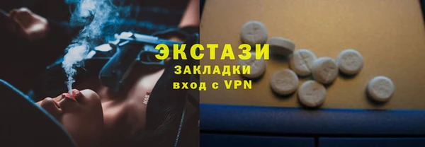 индика Вяземский