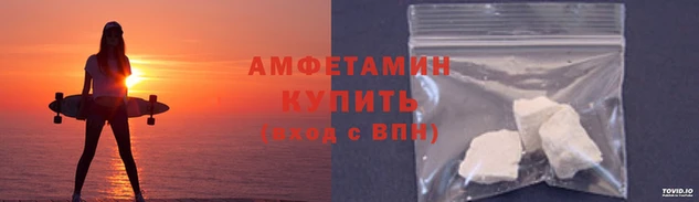 индика Вяземский