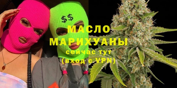 индика Вяземский