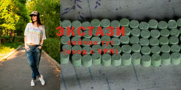 индика Вяземский