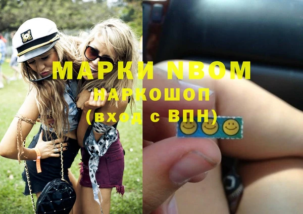 индика Вяземский