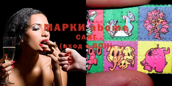 индика Вяземский