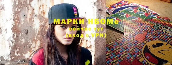 индика Вяземский