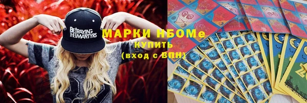 индика Вяземский