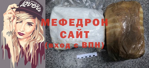 индика Вяземский