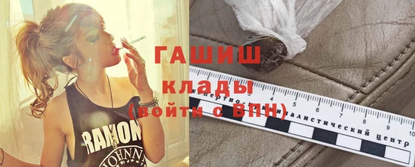 индика Вяземский