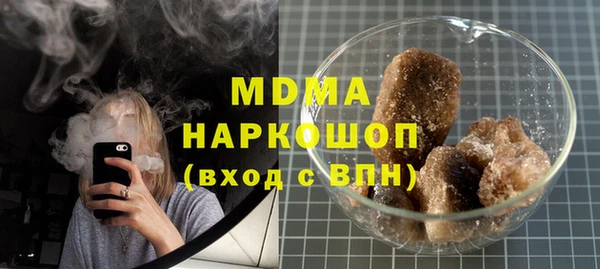 индика Вяземский