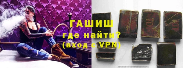 индика Вяземский