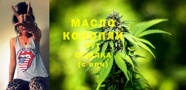 индика Вяземский