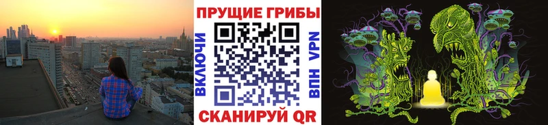 Псилоцибиновые грибы Psilocybine cubensis  продажа наркотиков  Бердск 