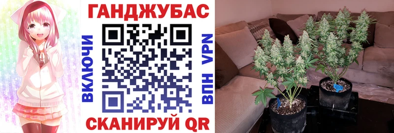 наркотики  mega   МАРИХУАНА Amnesia  Бердск 